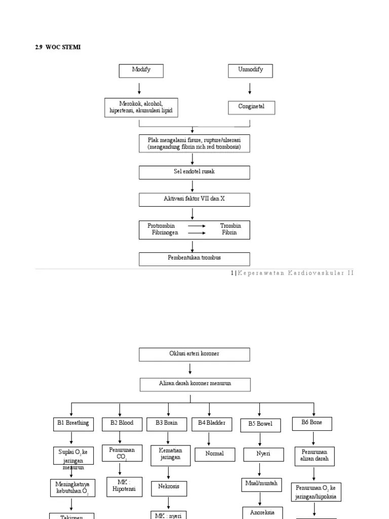 Woc Askep Ima Stemi PDF