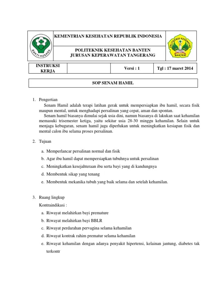 Sop Senam Hamil