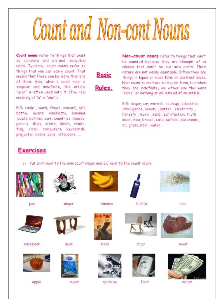 Count and Noncount Nouns