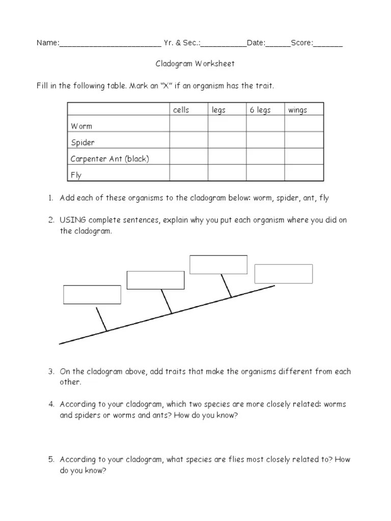 Cladogram Worksheet