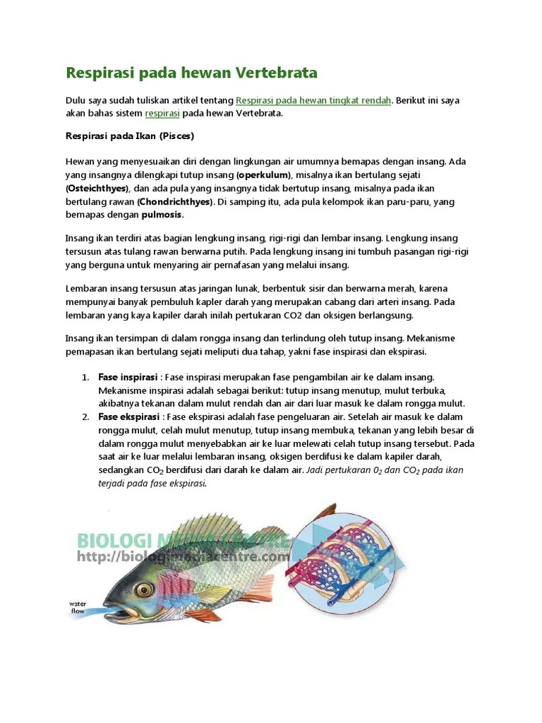 Respirasi Pada Hewan Vertebrata | PDF