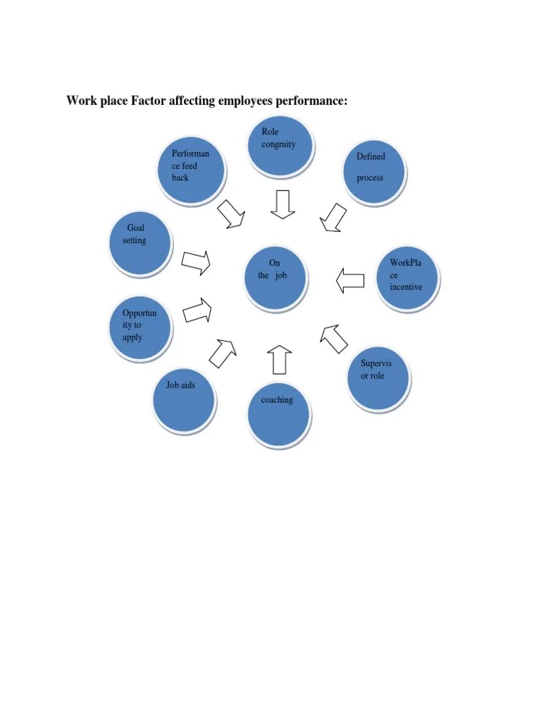 Work Place Factor Affecting Employees Performance Role Congruity