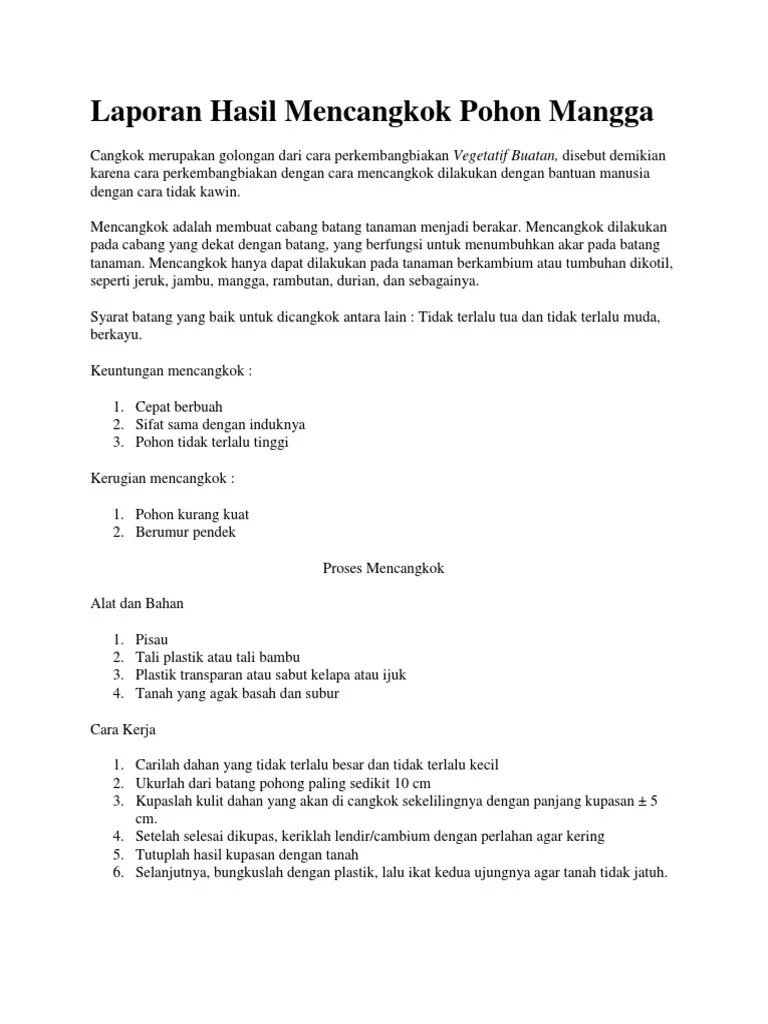 Laporan Hasil Mencangkok Pohon Mangga | PDF