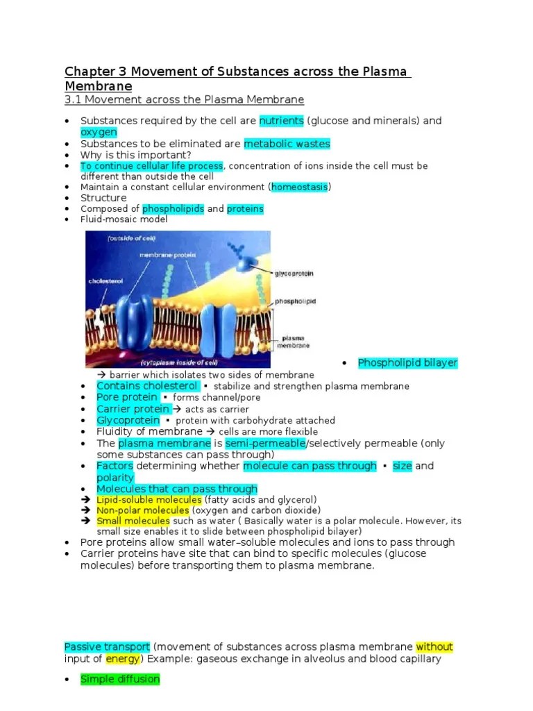 Chapter 3 Movement of Substances Across the Plasma Membrane