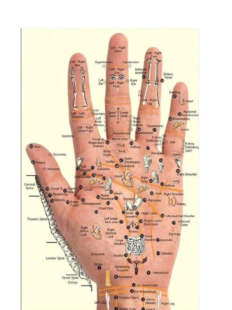 Hand Reflexology PDF