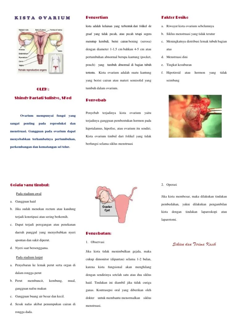 LeafletKistaOvarium.docx