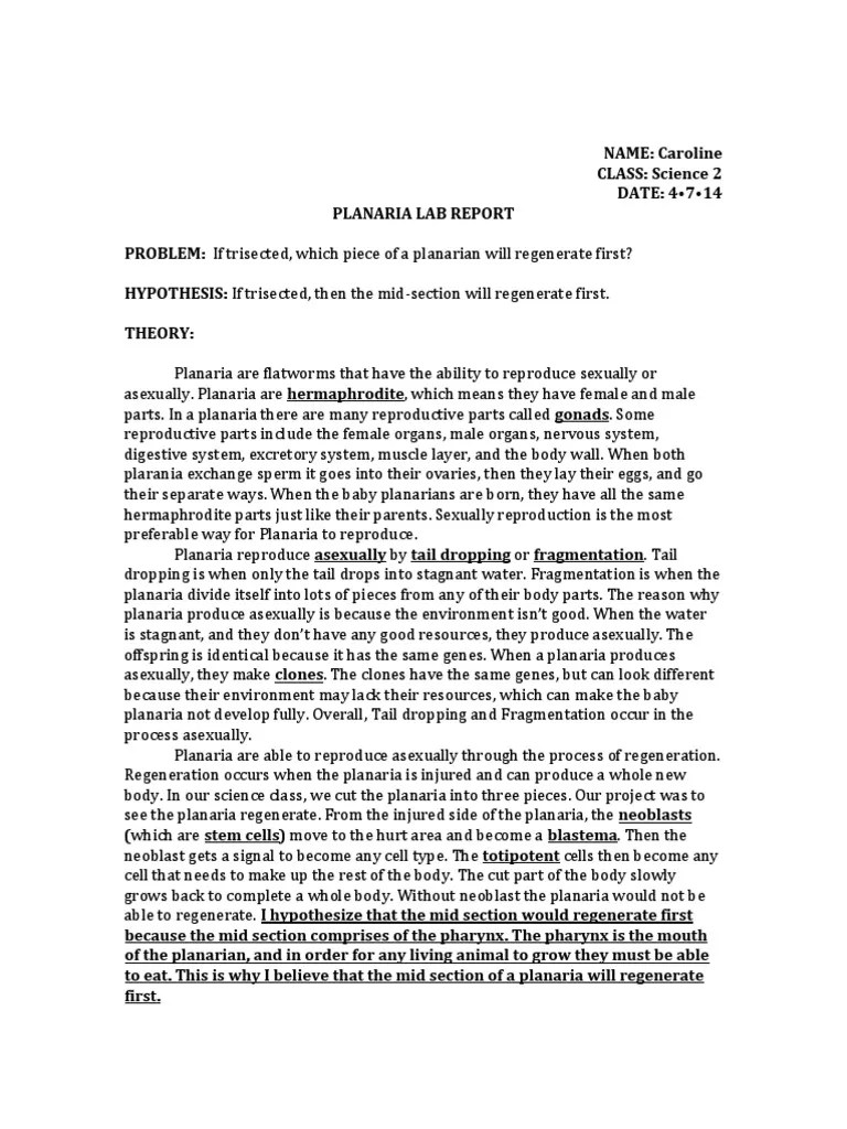 😎 Lab hypothesis. A Strong Hypothesis. 20190126