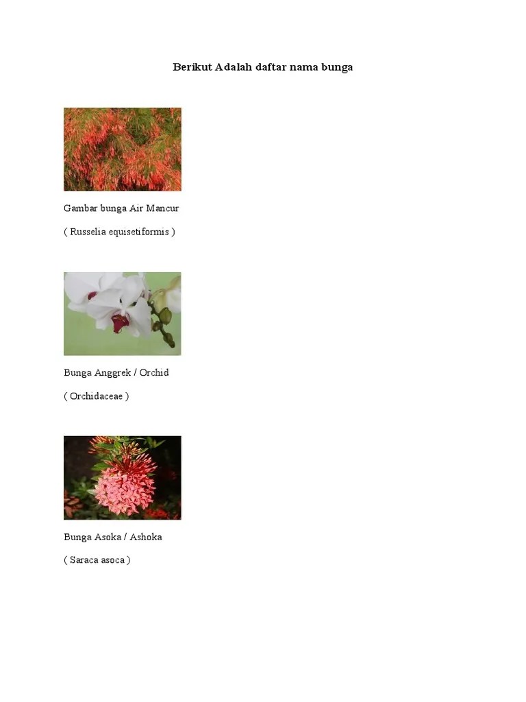 Daftar Nama Bunga