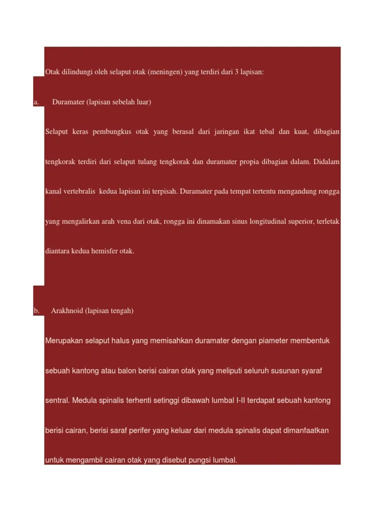 Otak Dilindungi Oleh Selaput Otak | PDF