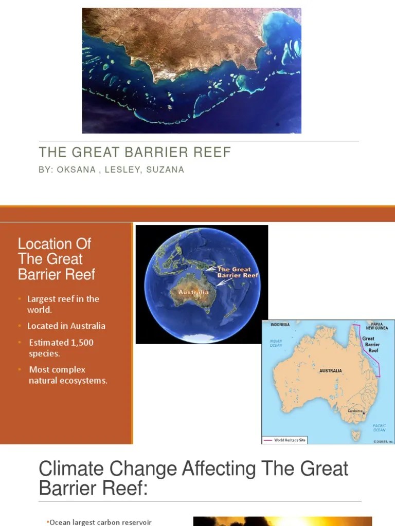 the great barrier reef presentation revised Coral Reef Coral