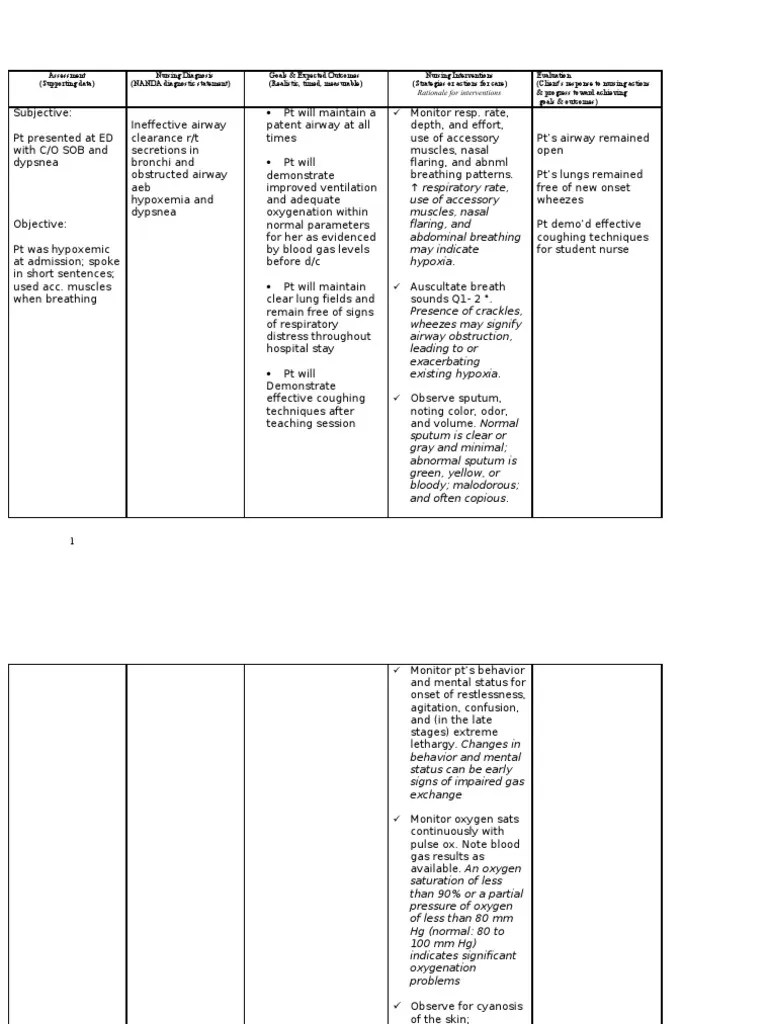 Nursing Care Plan: COPD | PDF | Respiratory Tract | Breathing