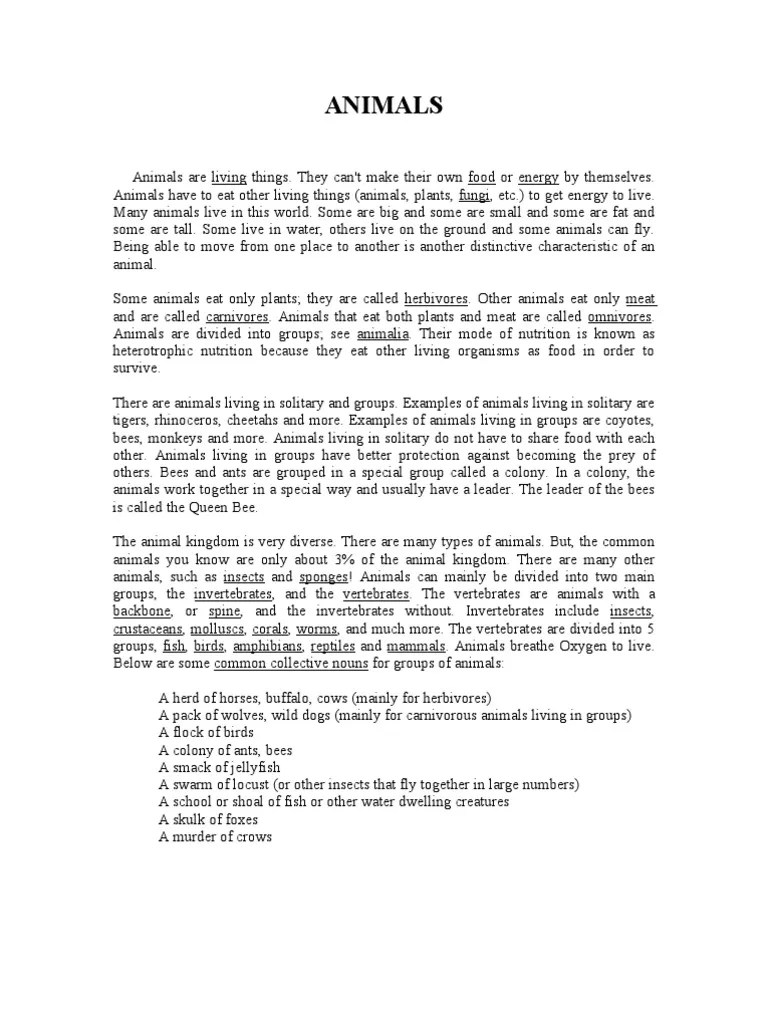 Animals Are Living Things. They Can't Make Their Own Food Mammals