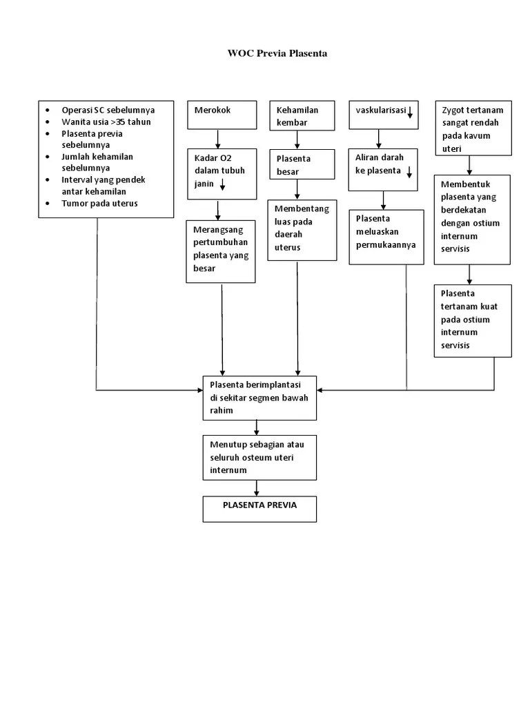 ASKEP PLASENTA PREVIA PDF