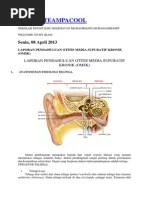Otitis Media Supurasi Kronik | PDF