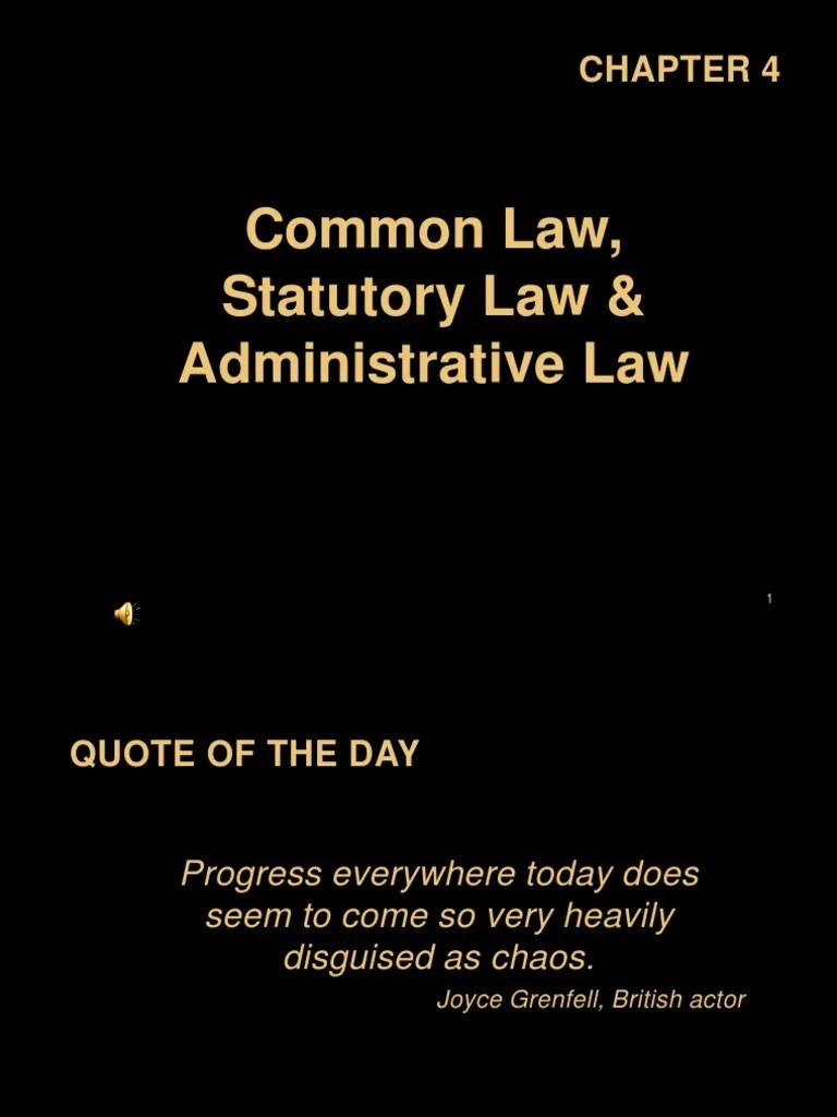 Common Law, Statutory Law, and Administrative Law PDF United States