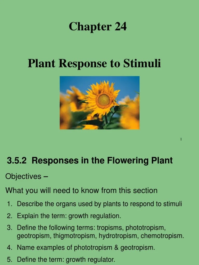 Plant Response to Stimuli Auxin Plant Hormone