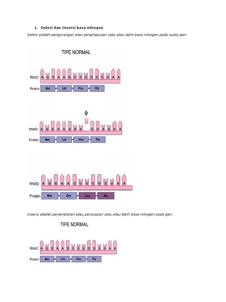 Delesi Dan Insersi Basa Nitrogen | PDF