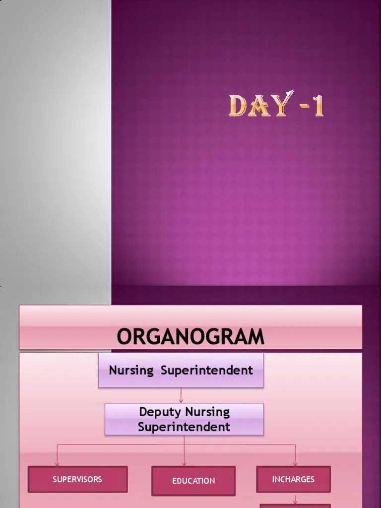 Nursing Induction Medical Record Visual Cortex