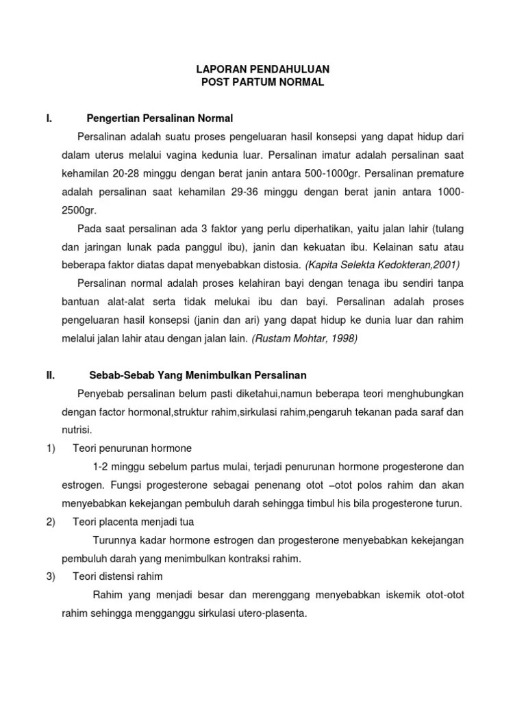 Laporan Pendahuluan Post Partum Normal PDF
