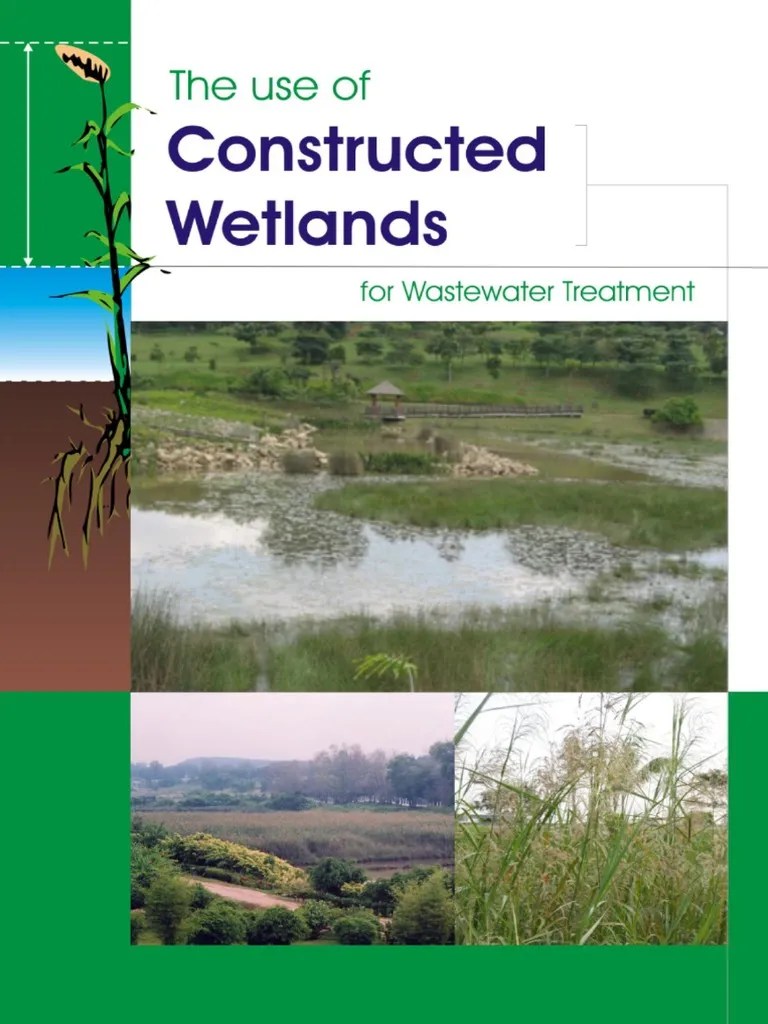 The Use of Constructed Wetlands For Wastewater Treatment PDF Wastewater Wetland