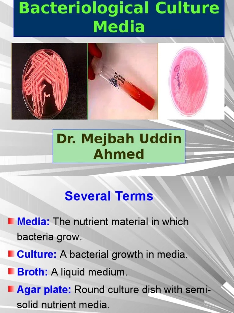 Bacteriological Culture Media Growth Medium Bacteria
