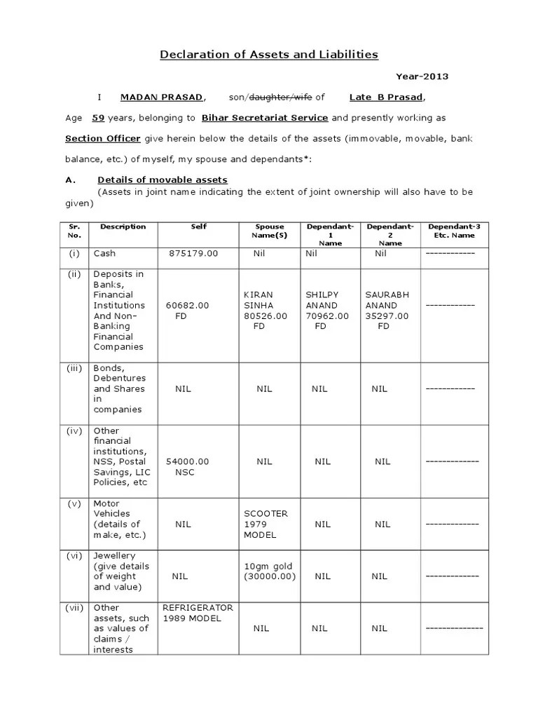 Declaration of Assets and Liabilities Year2013 Money Business