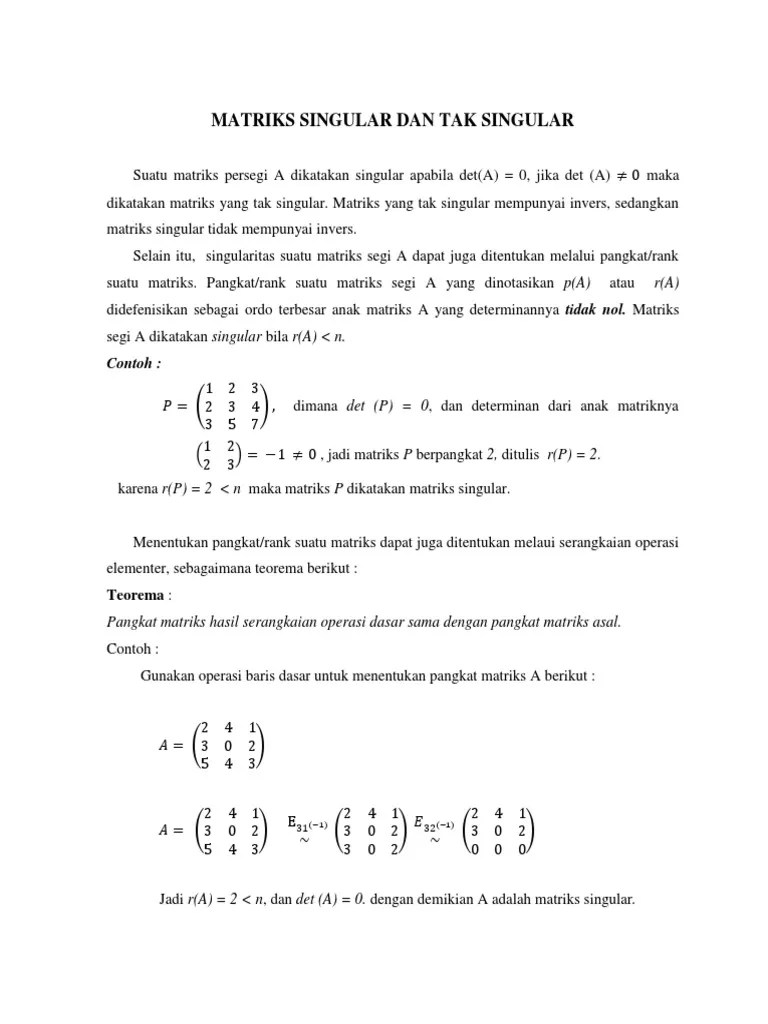 Matriks Singular Dan Tak Singular | PDF