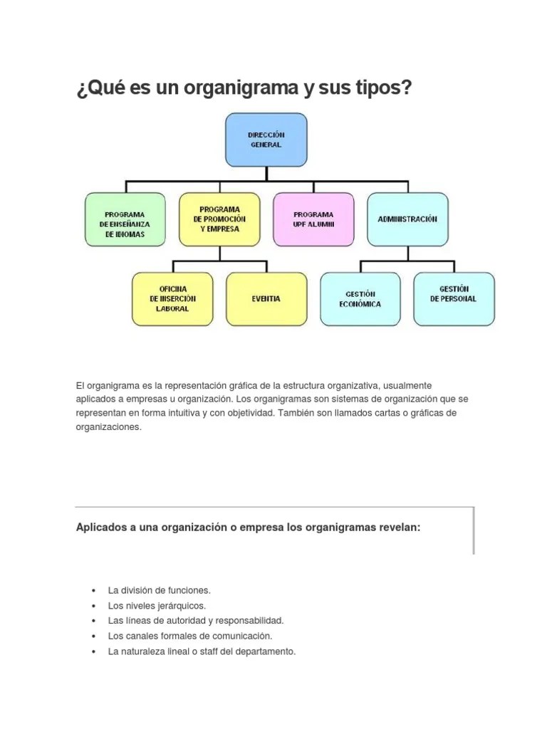 Qué Es Un Organigrama y Sus Tipos Integral Naturaleza