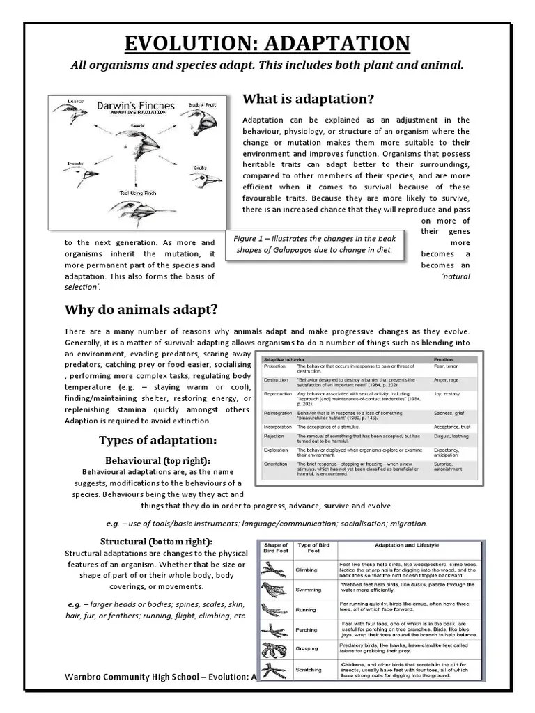 evolution worksheet adaptation Adaptation Natural Selection