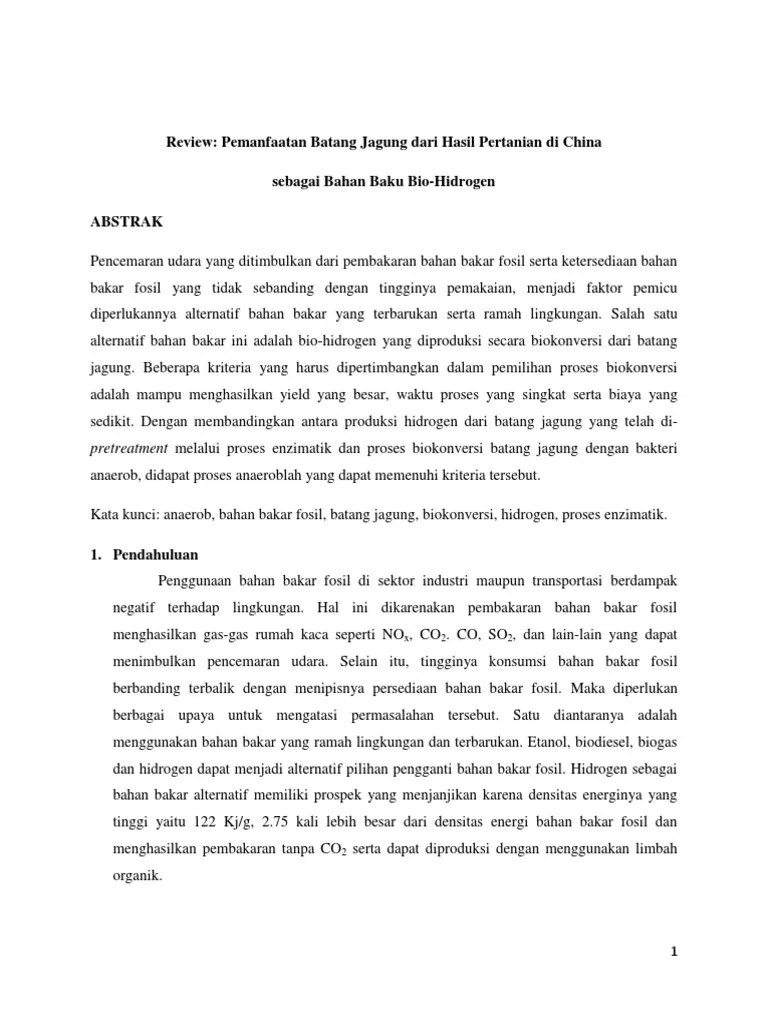 Review Jurnal Pemanfaatan Jagung Sebagai Bahan Baku Hidrogen PDF