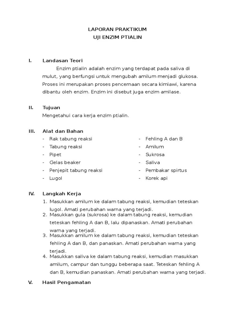 Contoh Laporan Penelitian Enzim