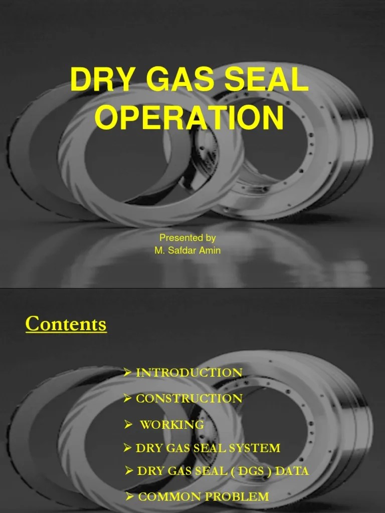 164926679 Dry Gas Seal Animation Ppt Gases Pressure