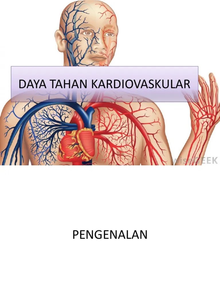 Daya Tahan Kardiovaskular Physical Exercise Recreation