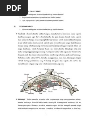 Learning Objective3 | PDF