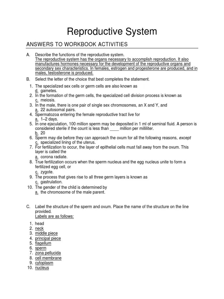 reproductive system answer key Luteinizing Hormone Menstrual Cycle