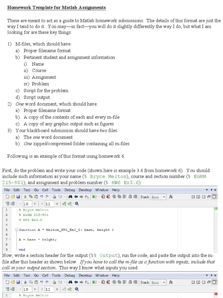 Template for Matlab Assignments File Format Matlab