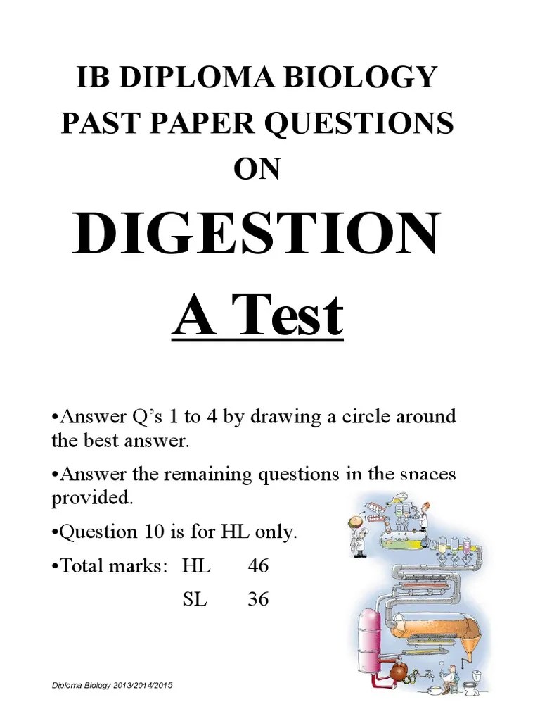 Digestion Questions Ib TEST Digestion Carbohydrates