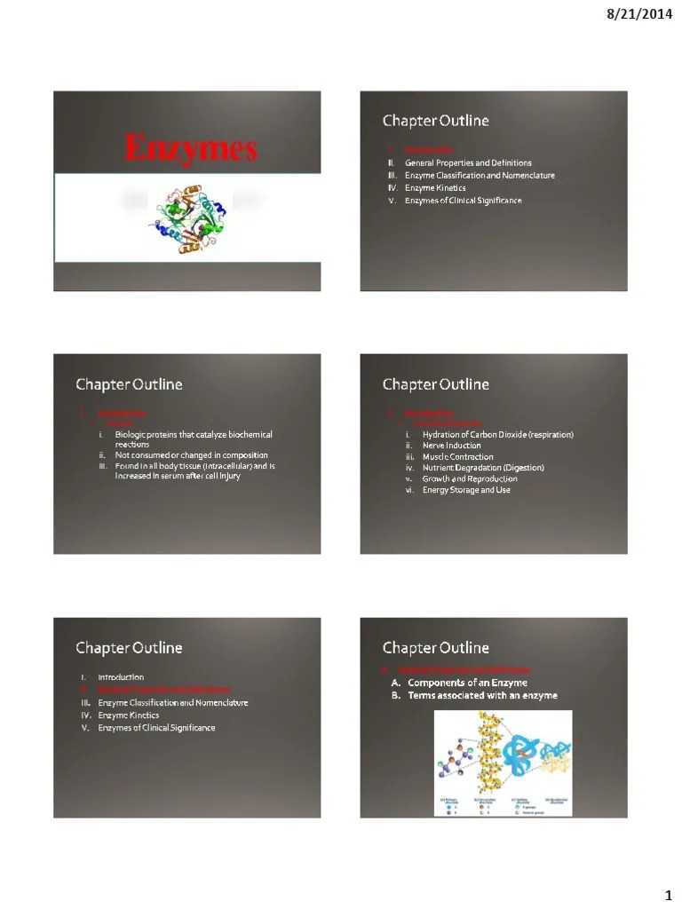 Enzymes Enzyme Function of Enzymes PDF Lactate Dehydrogenase