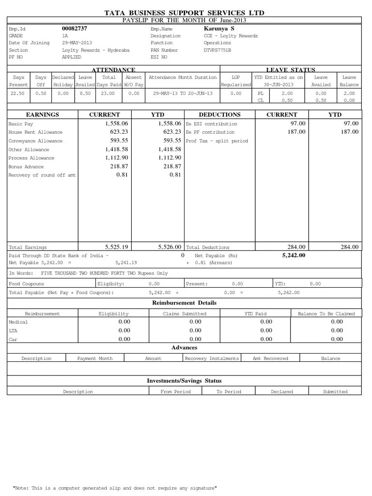 Pay Slip PDF