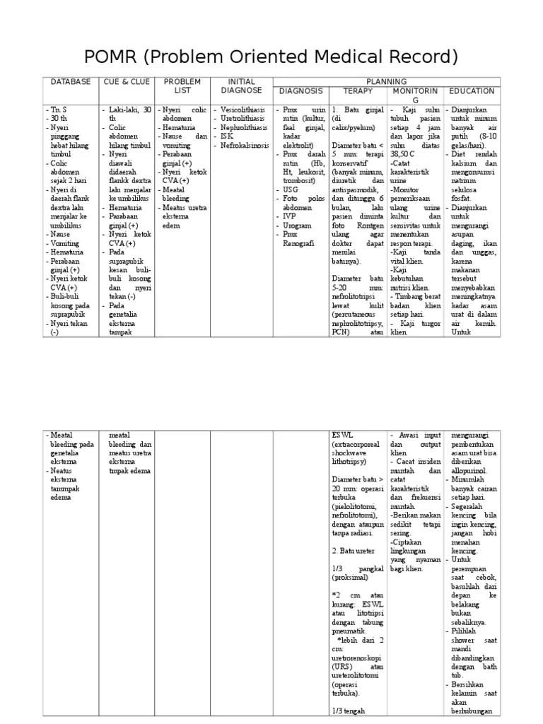 POMR | PDF