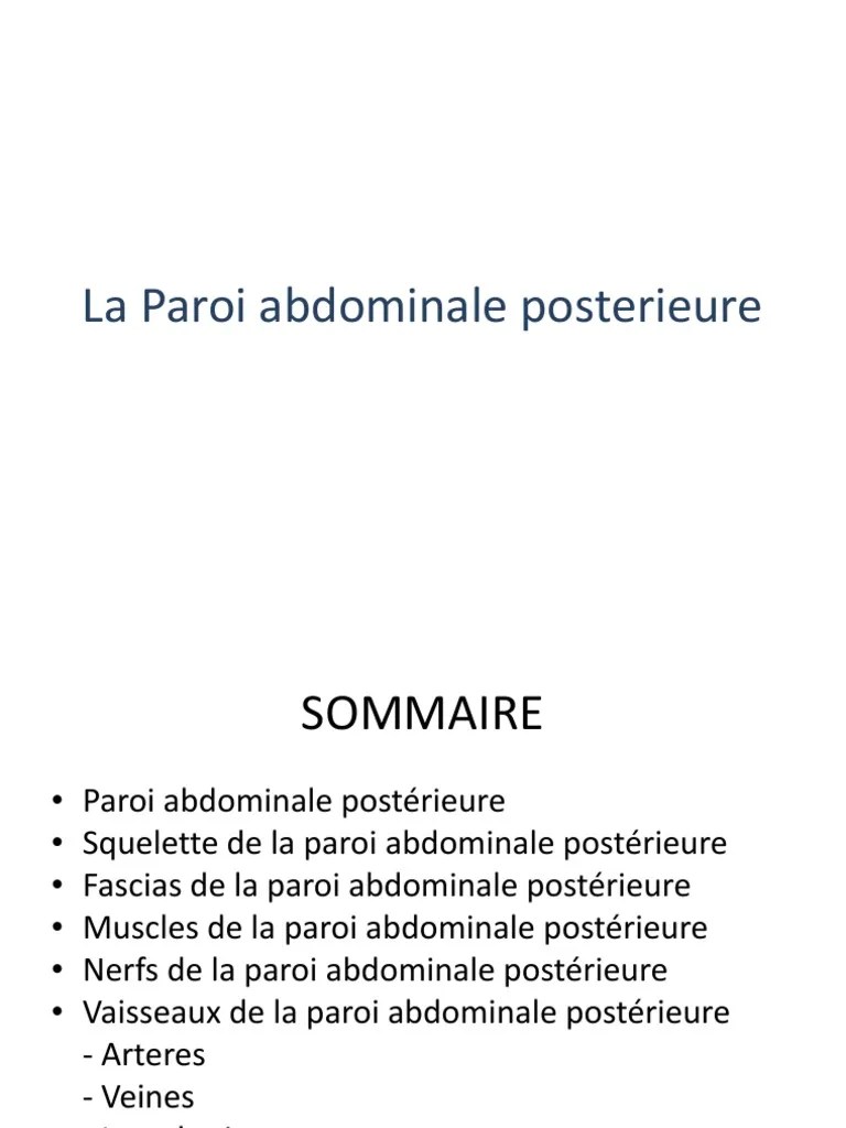 Paroi abdominale posterieure.pptx