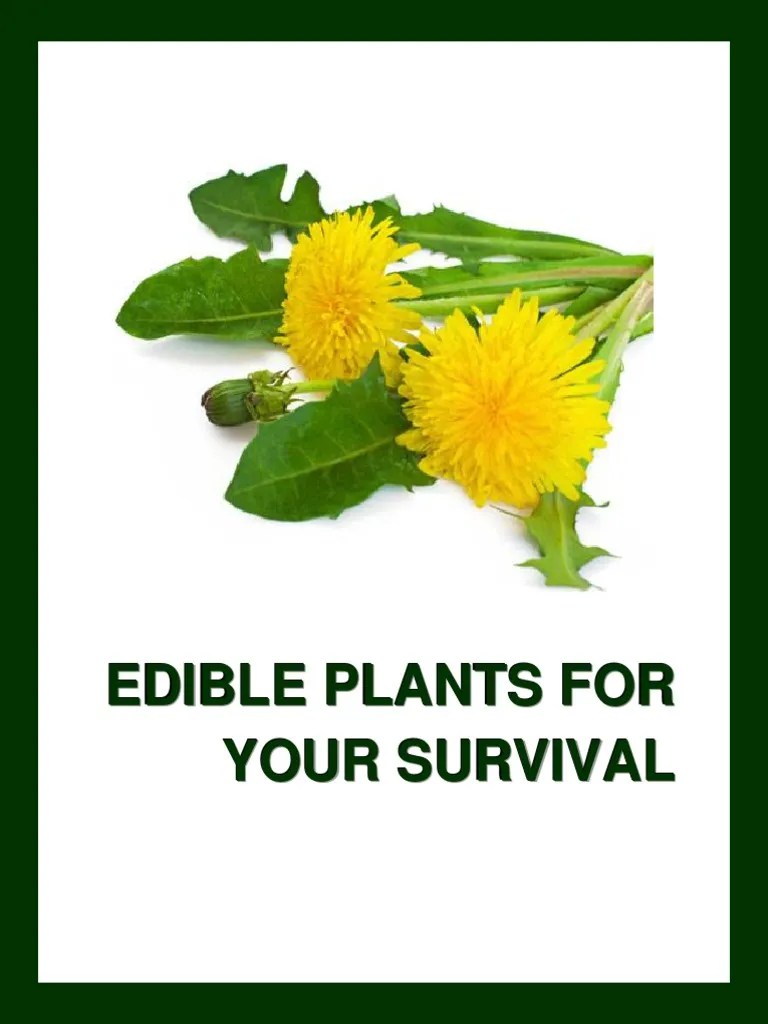A Basic Guide To Edible Plants PDF Edible Mushroom Seed