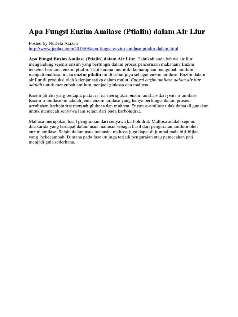 Apa Fungsi Enzim Amilase | PDF