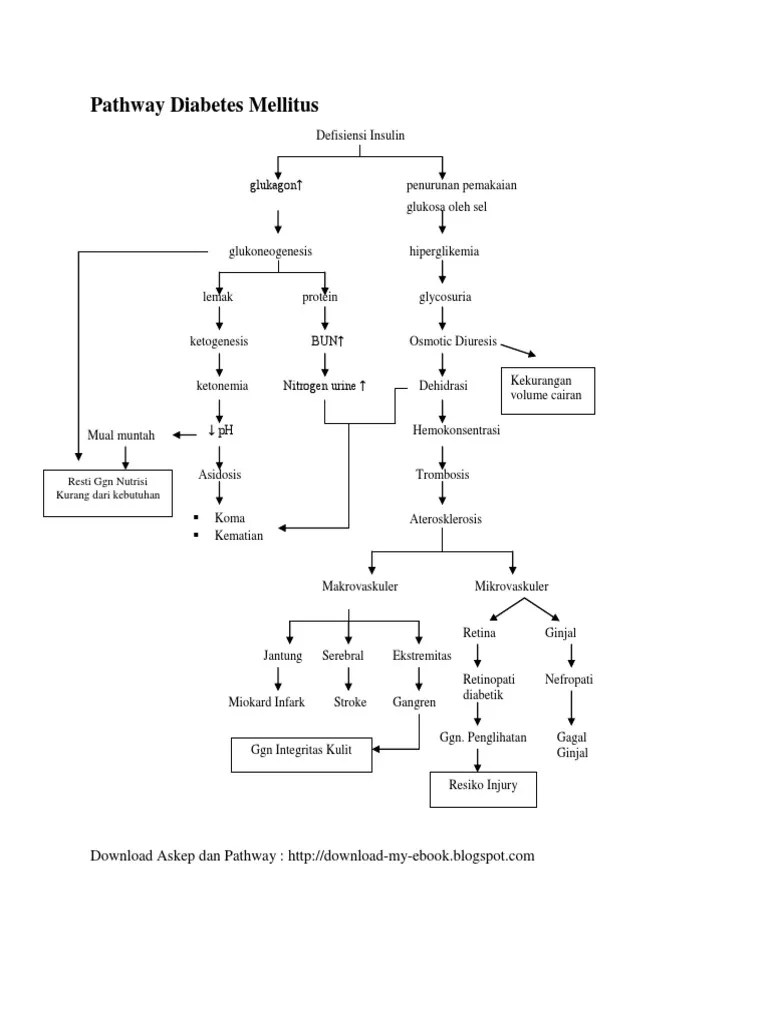 Pathway Diabetes Mellitus