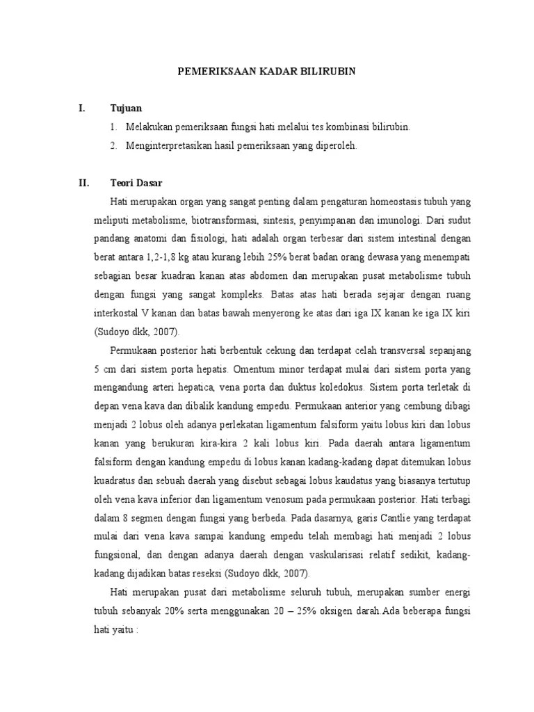 Laporan Pemeriksaan Kadar Bilirubin | PDF