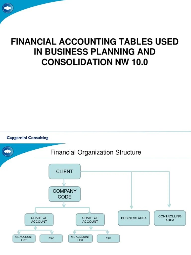 Financial Accounting Tables Used In Business Planning And Consolidation Nw 10.0