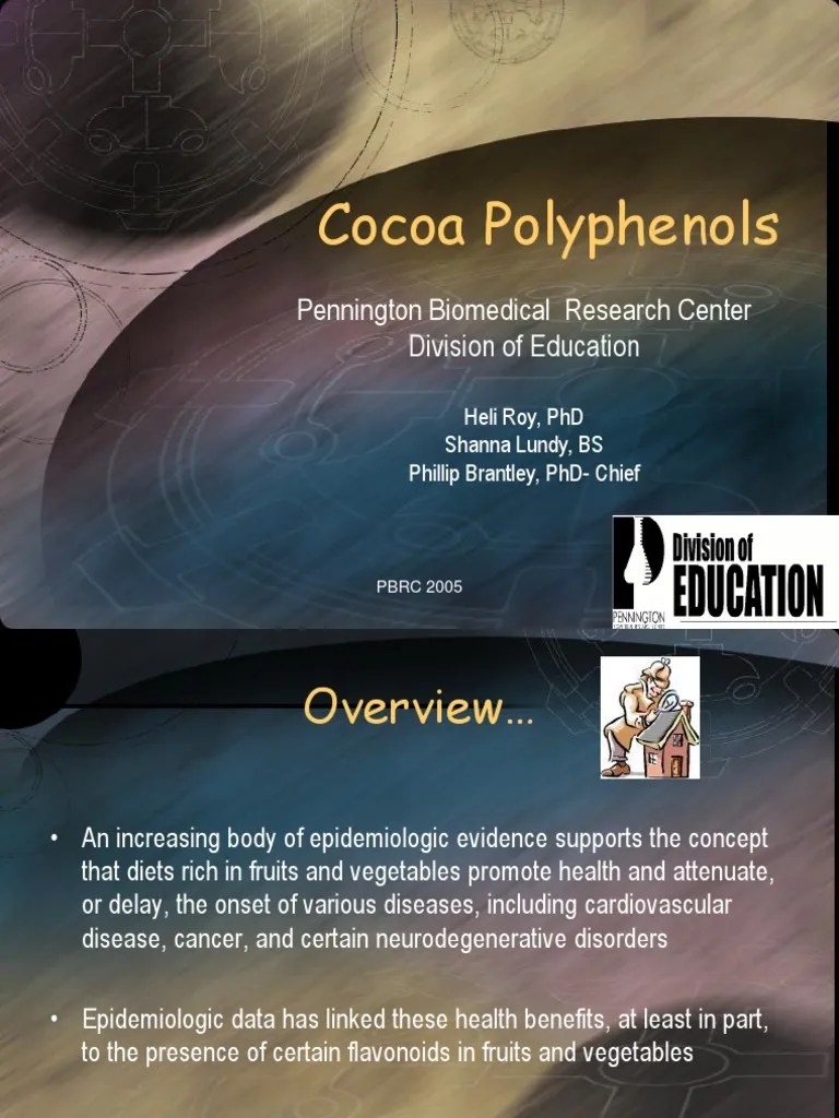 Cocoa Polyphenols Flavonoid Chocolate