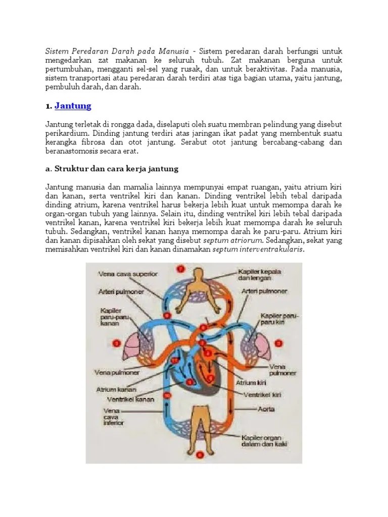 Tekanan Darah Saat Darah Meninggalkan Jantung Disebut Sebutkan Itu