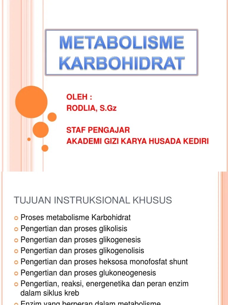Metabolisme KH 2010 | PDF