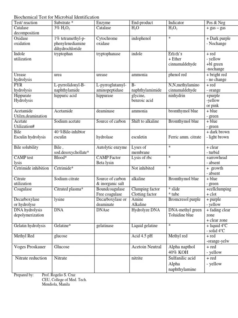 Bacteria Biochemical Tests